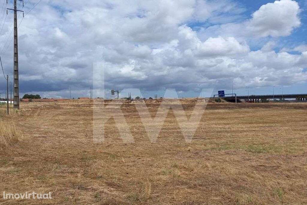 Terreno nas Portas da Cidade do Montijo com cerca de 20.000 m2 - Grande imagem: 4/14