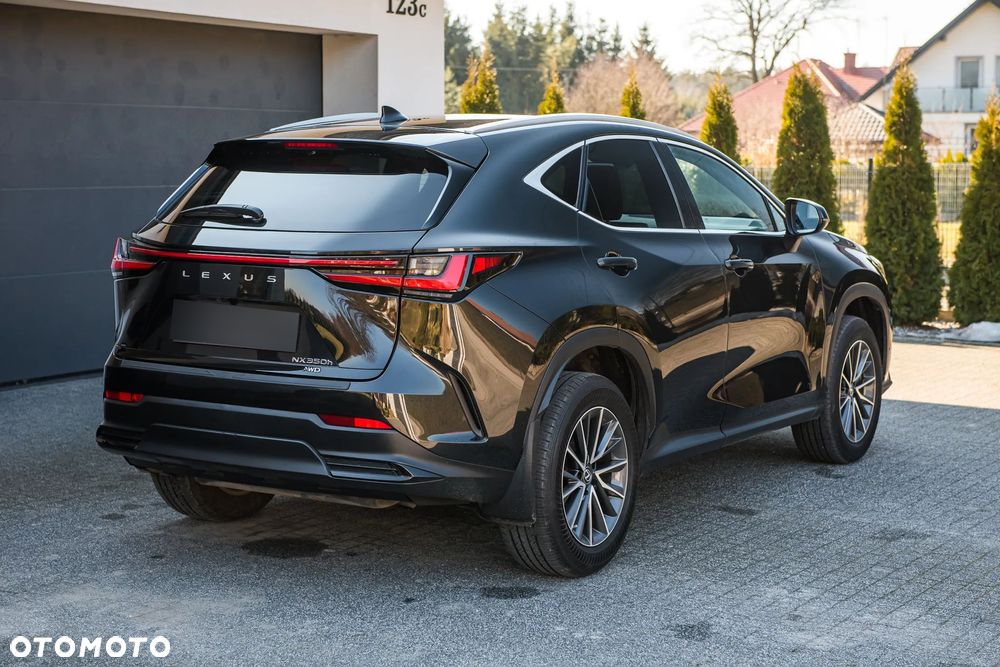 Lexus NX - 12