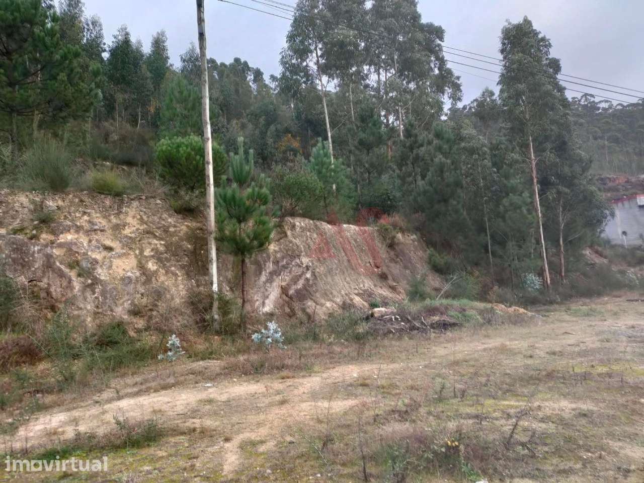 Terreno rústico com 4.884 m² em Santa Eulália, Vizela - Grande imagem: 3/5