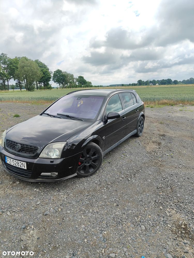 Opel Signum 1.9 CDTI Sport - 1