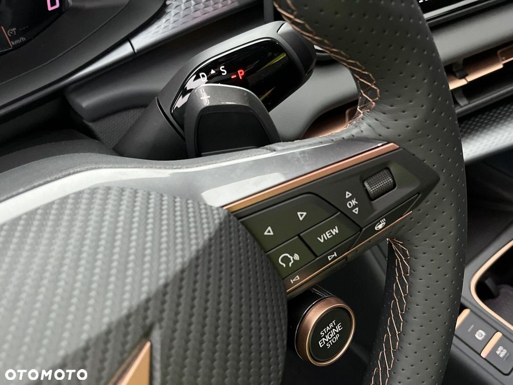 Cupra Terramar - 17