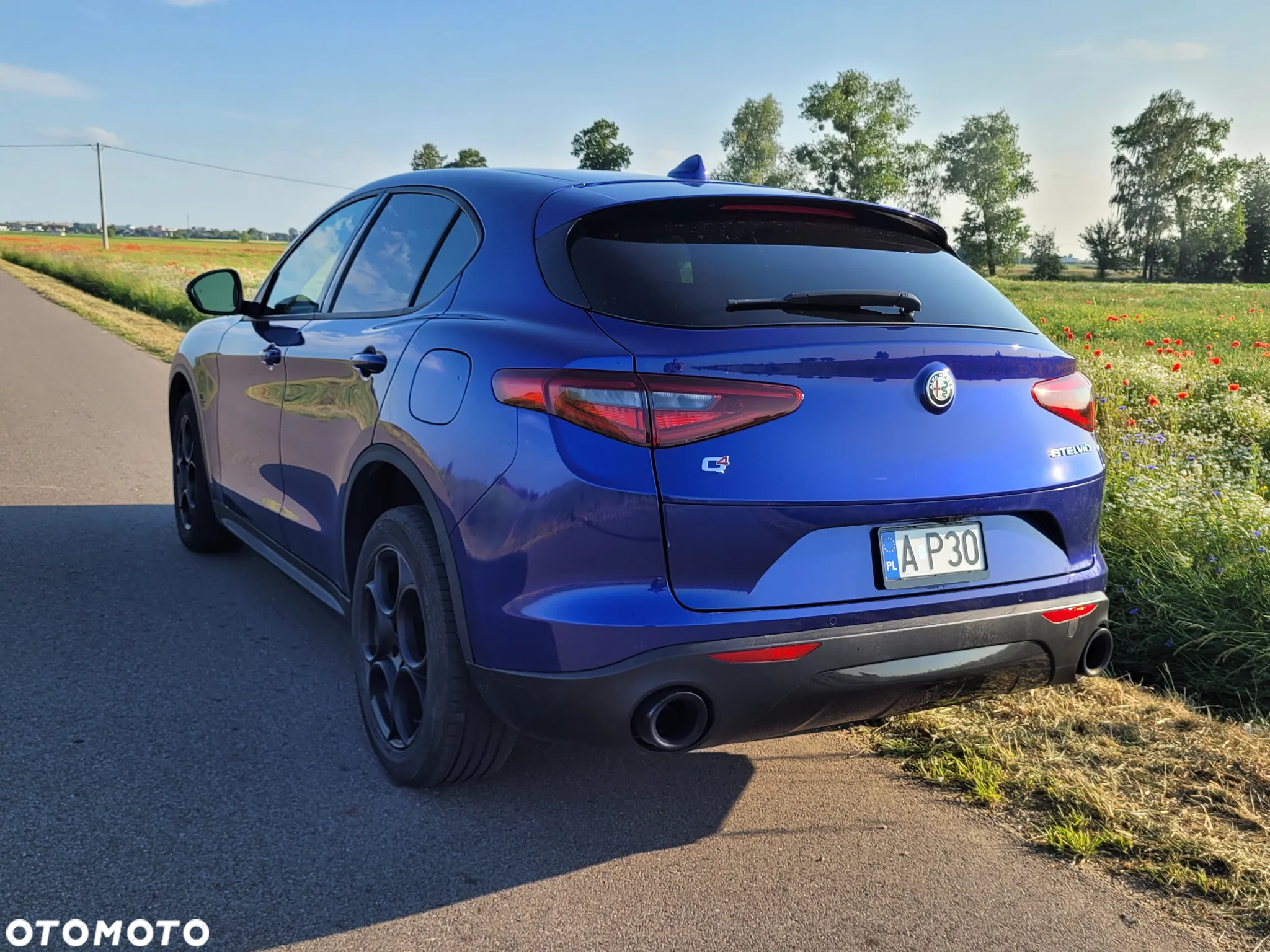 Alfa Romeo Stelvio 2.0 Turbo Sprint Q4 - 14