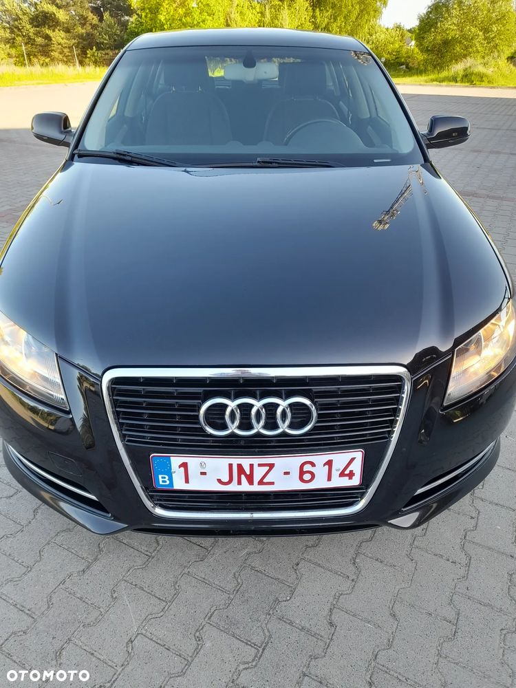 Audi A3 Sportback 1.6 TDI DPF Ambiente - 15