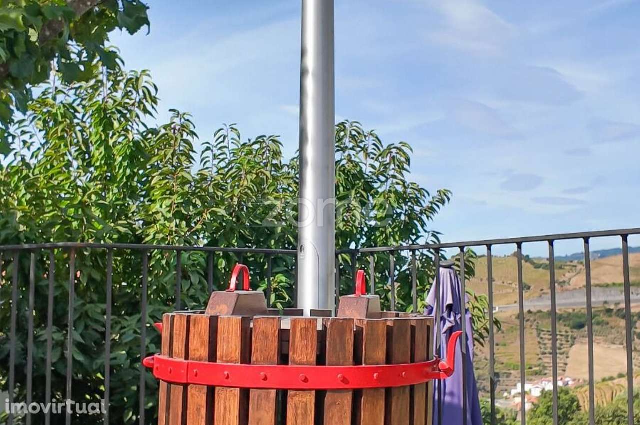 Turismo Rural no Douro (7 apartamentos) - Peso da Régua - Grande imagem: 4/60