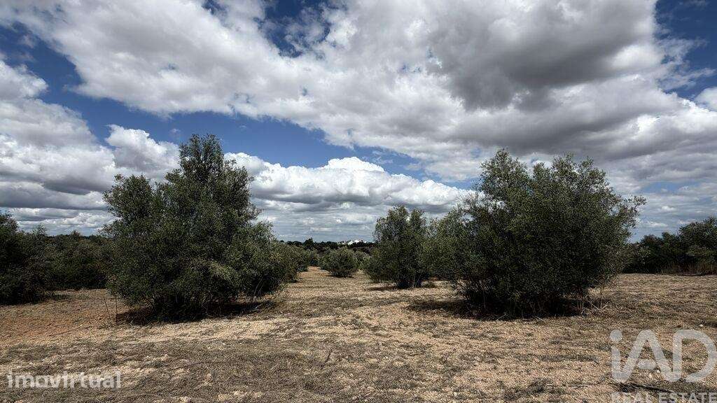 Terreno em Romeira e Várzea - Grande imagem: 5/13
