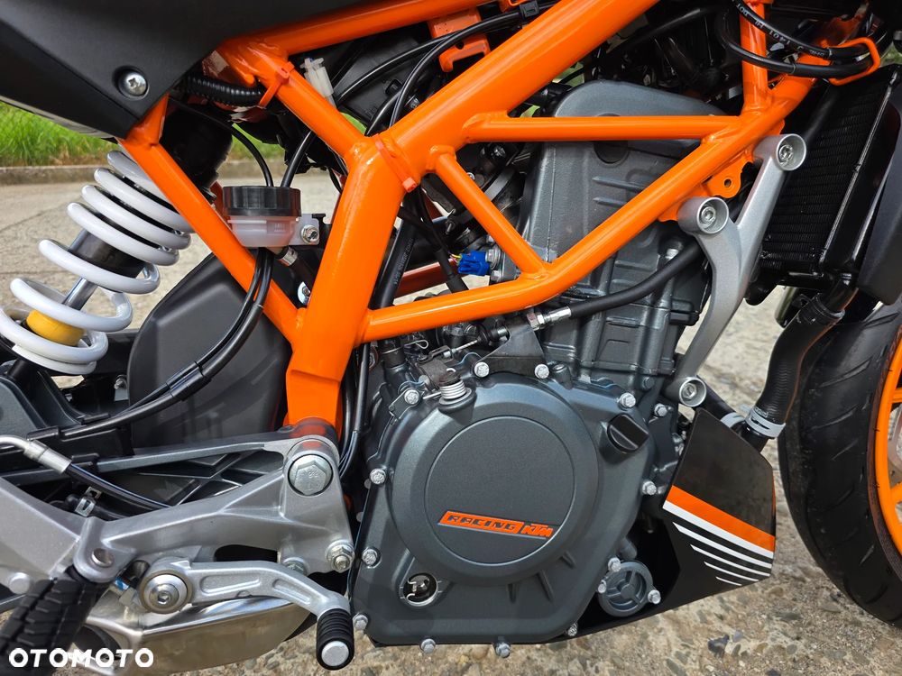 KTM Duke 390 - 19