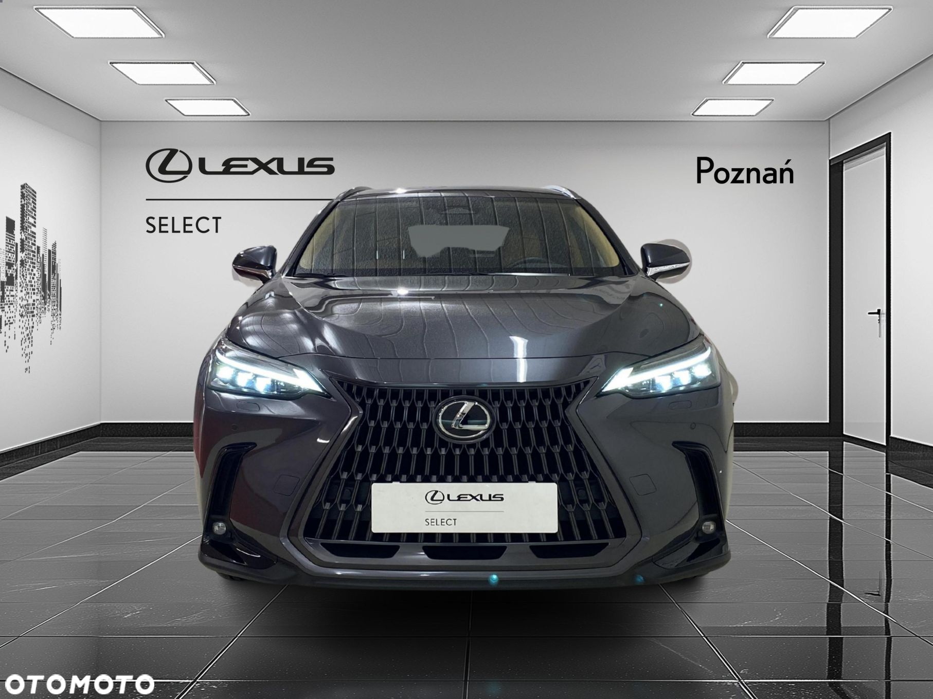 Lexus NX - 8