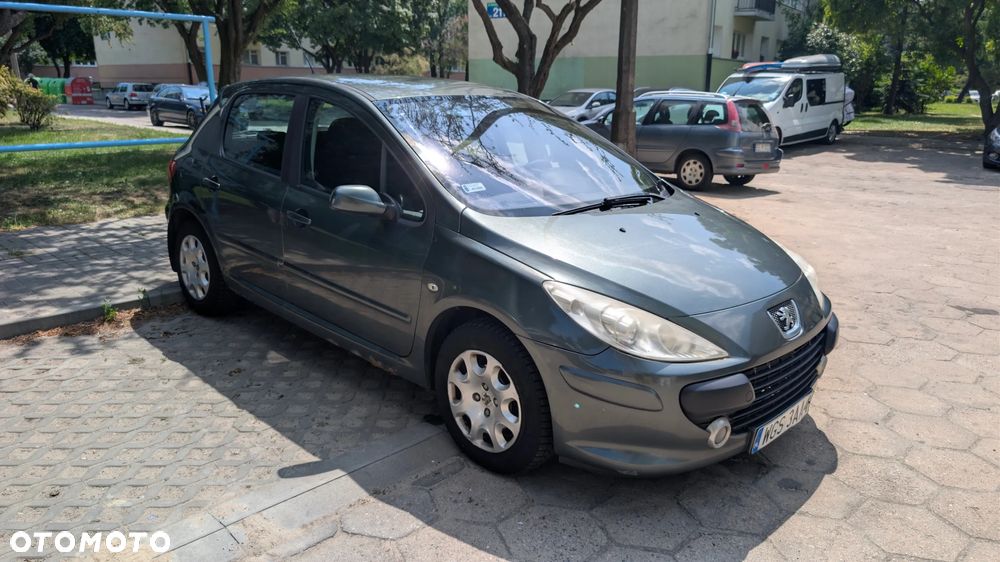 Peugeot 307 1.6 HDI Oxygo - 8