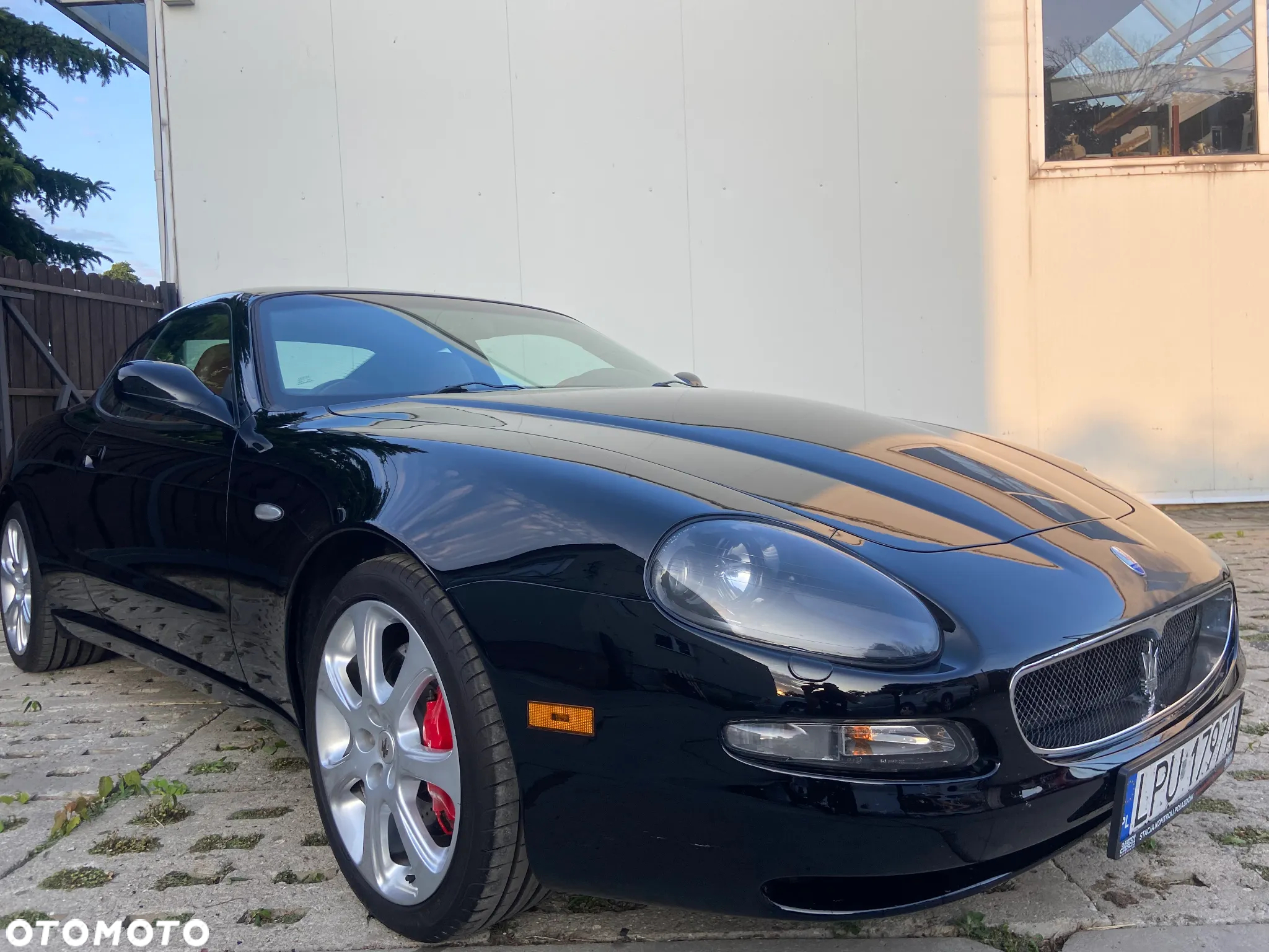 Maserati Coupe 4200 Cambiocorsa - 14