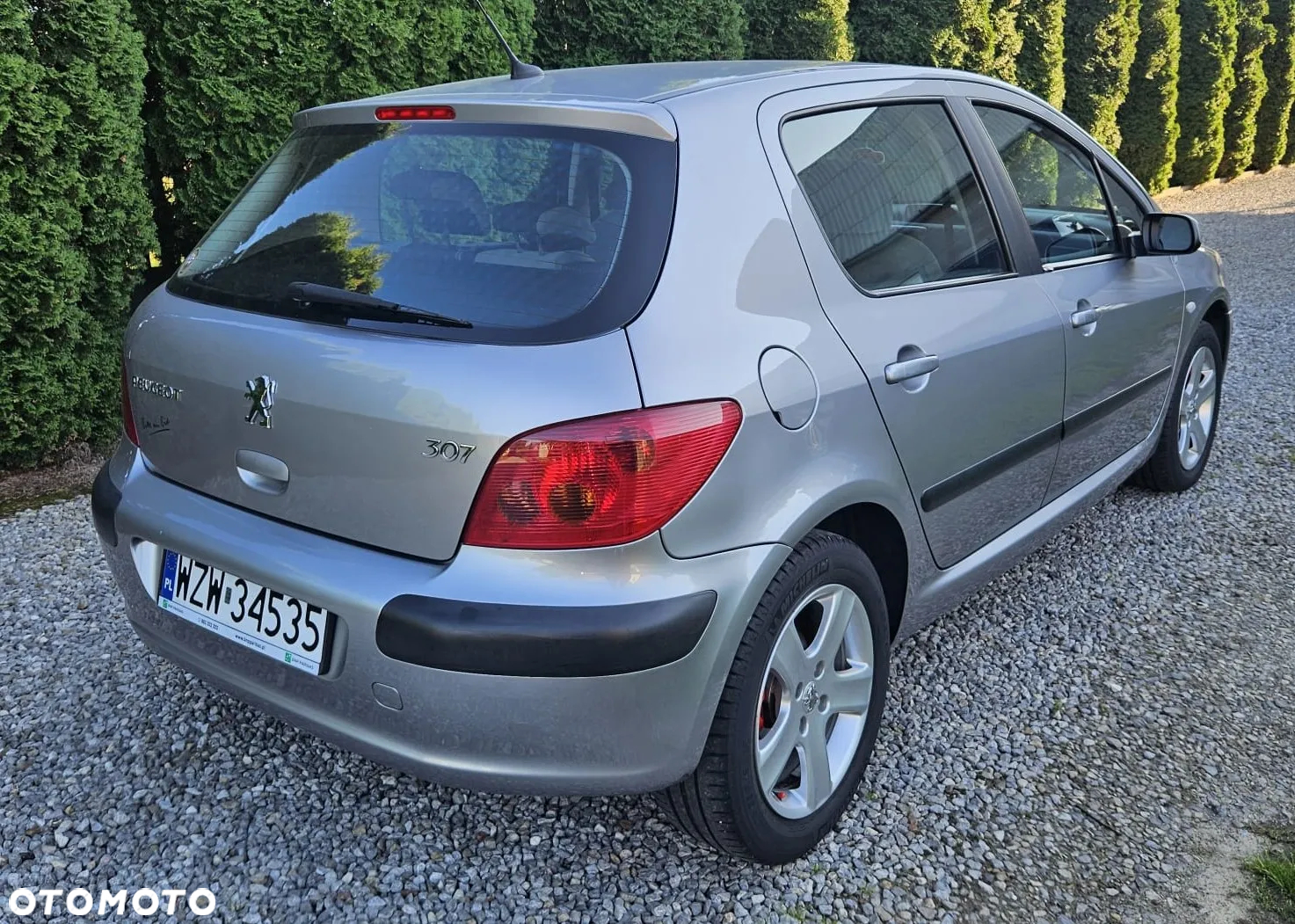 Peugeot 307 2.0 - 11