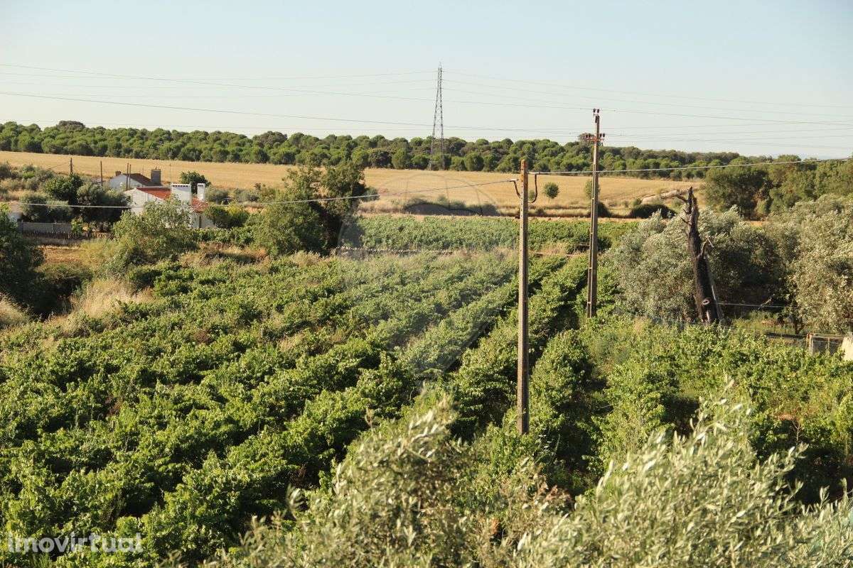 Terreno  para venda - Grande imagem: 3/33