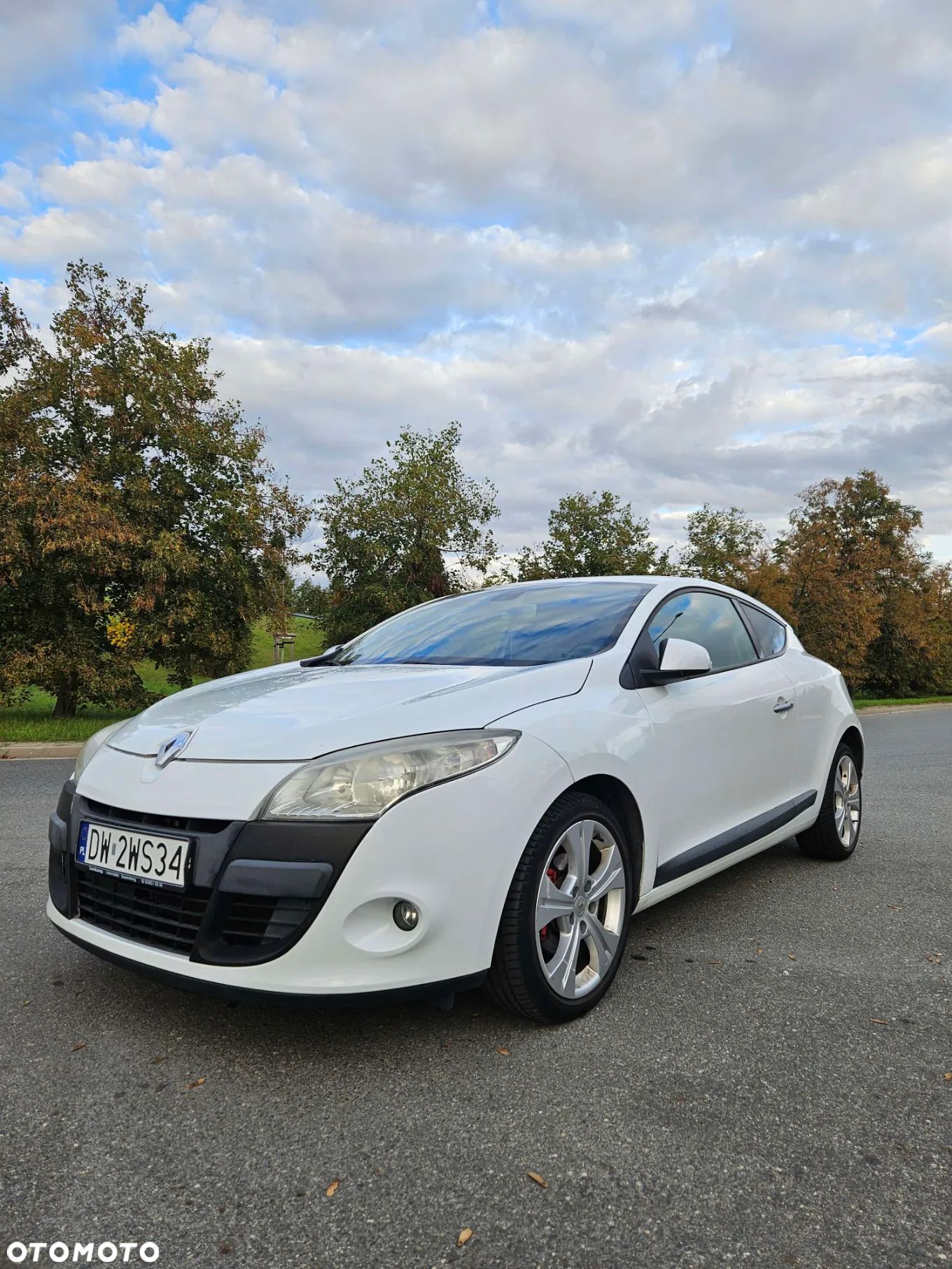 Renault Megane 1.6 Coupe Dynamique - 1