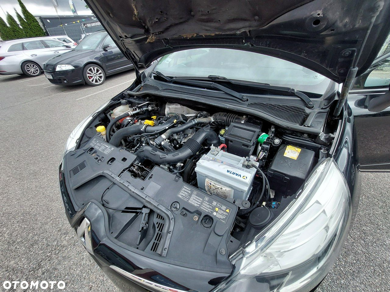 Renault Clio - 7