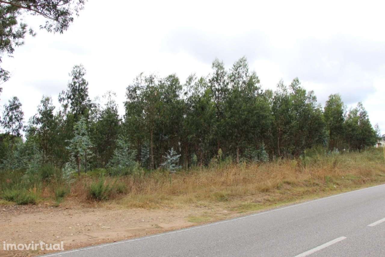 Terreno  Venda em Campo de Besteiros,Tondela - Grande imagem: 4/5