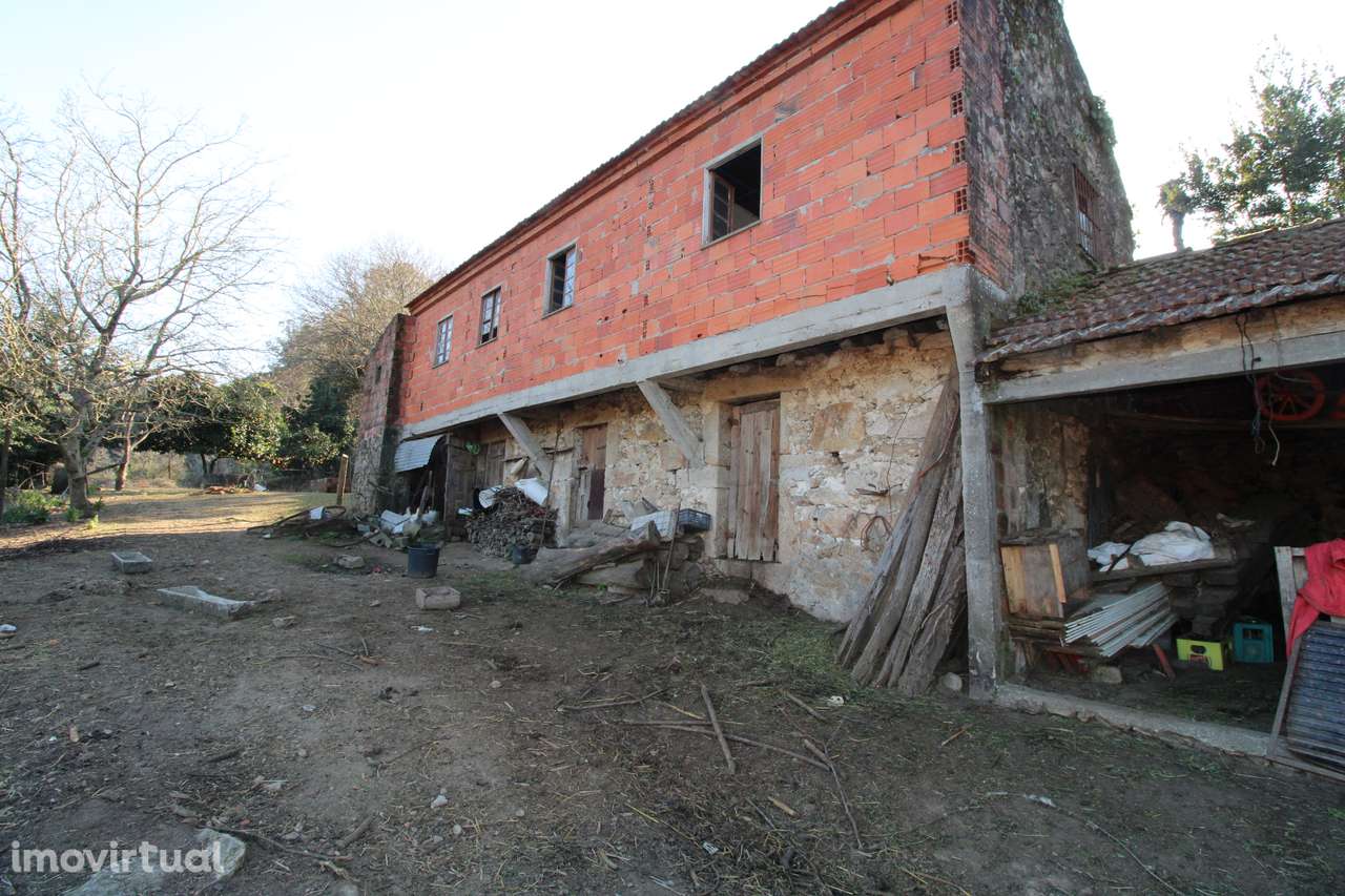 Moradia p/ reconstrução – Oliveira de Frades - Grande imagem: 3/9