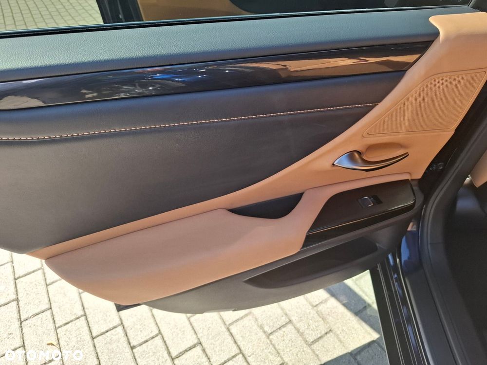 Lexus ES 300h Business Edition - 18