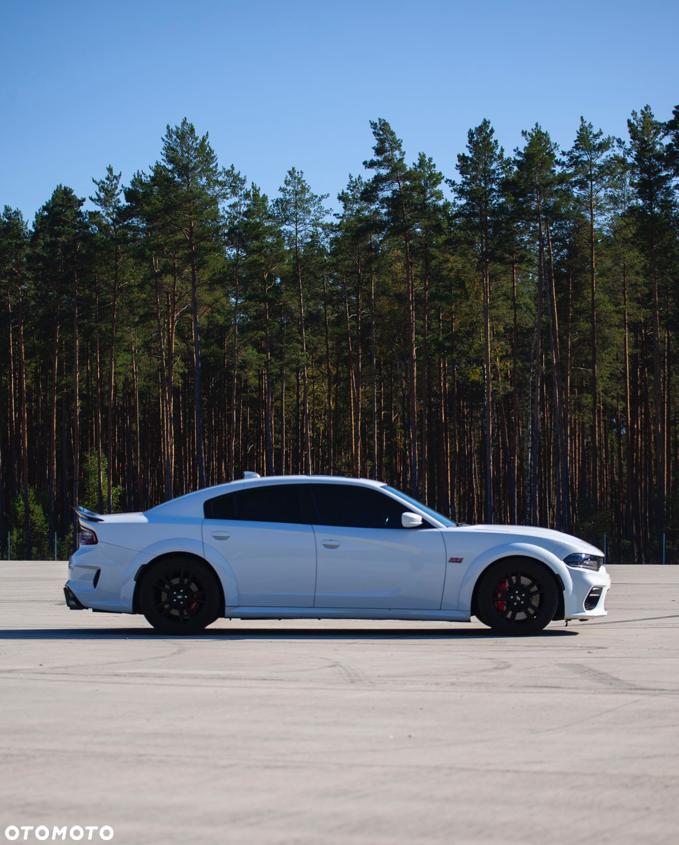 Dodge Charger 6.4 Scat Pack Widebody - 39