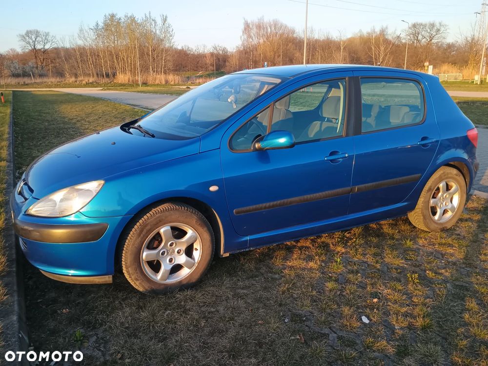 Peugeot 307 1.6 Premium - 5