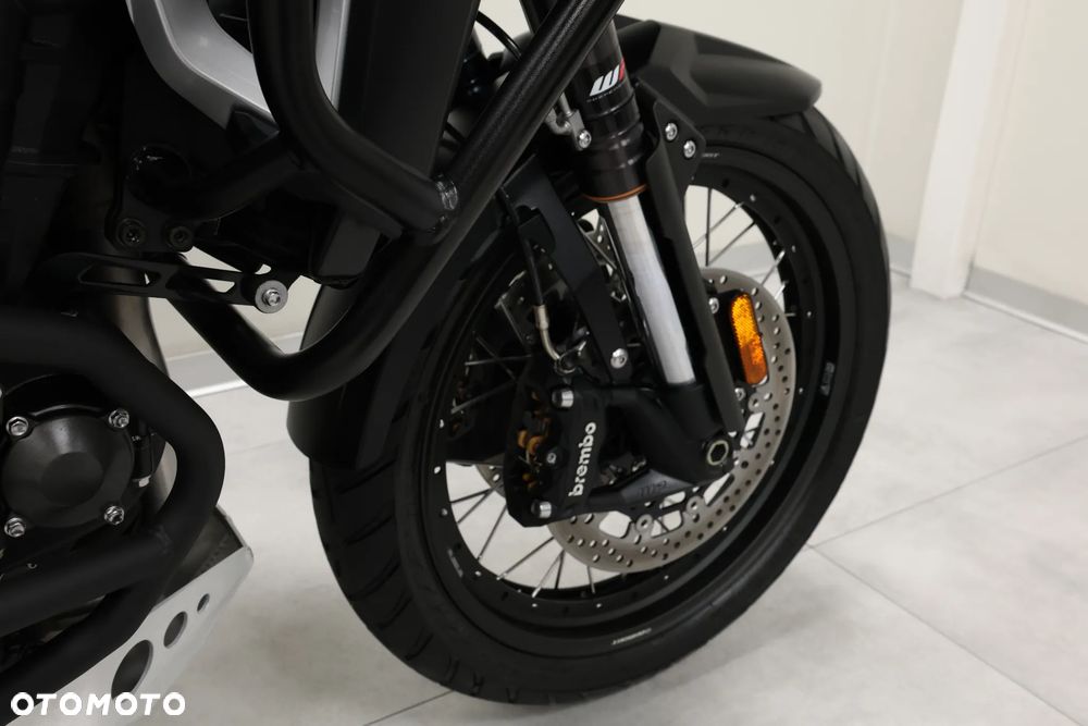 Triumph Tiger - 31