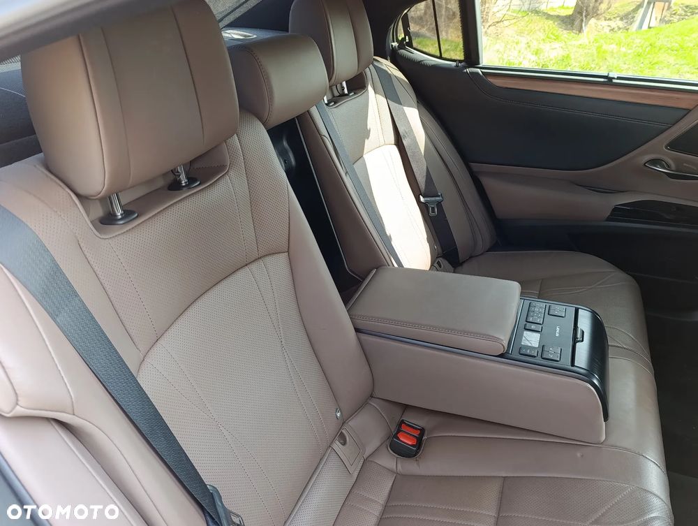 Lexus ES 300h Omotenashi - 14