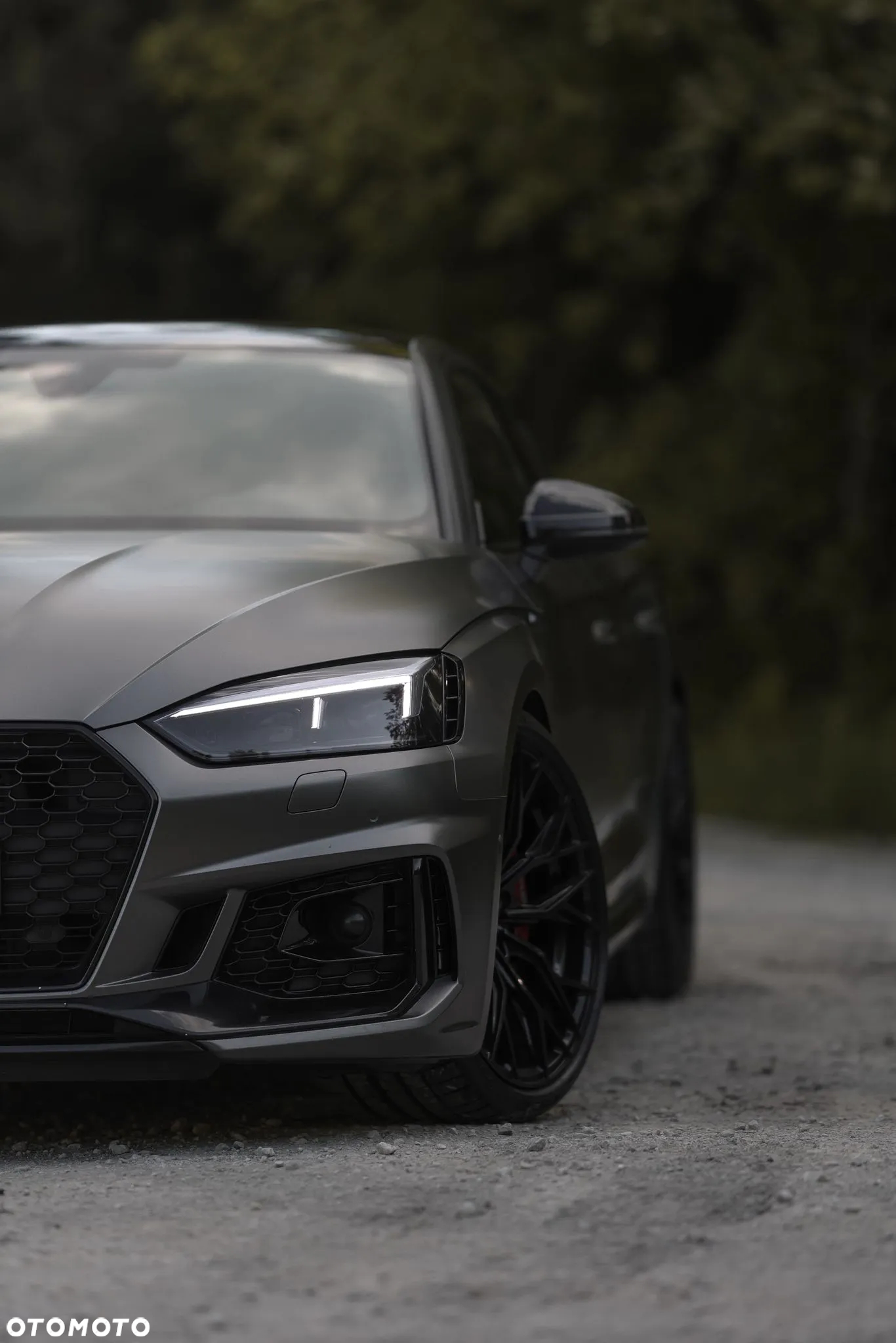 Audi RS5 2.9 TFSI Quattro Tiptronic - 8