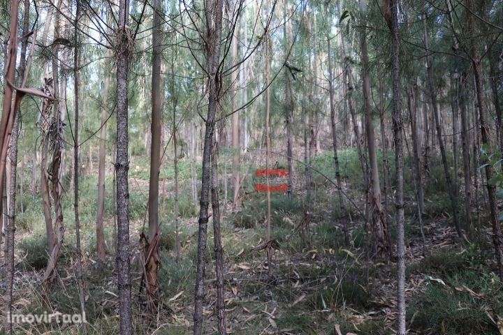 Terreno - Grande imagem: 5/8