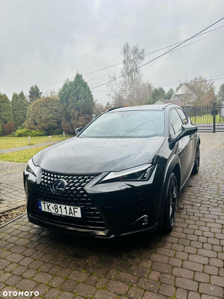 Lexus UX 250h GPF F Impression 2WD - 1