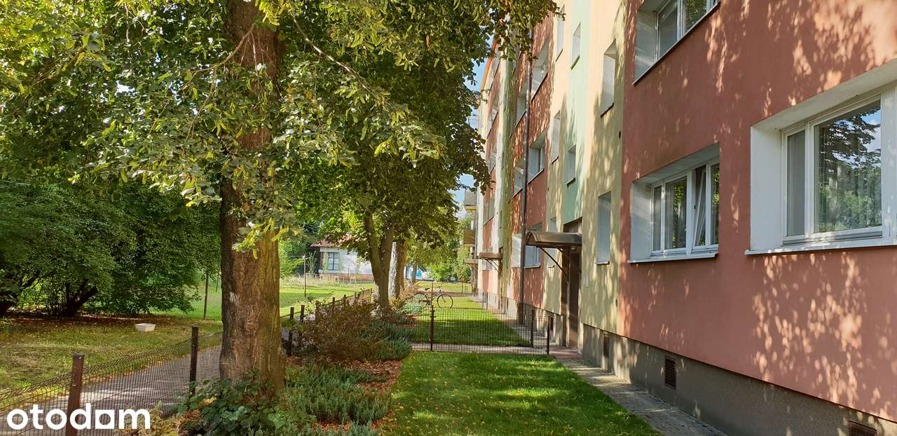 GRUNWALD , Swoboda ,3 pok., balkon, 1 piętro , parki i bujna zieleń