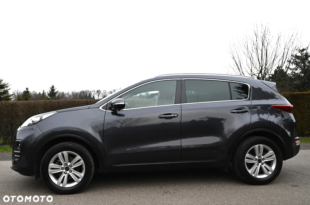 Kia Sportage - 25