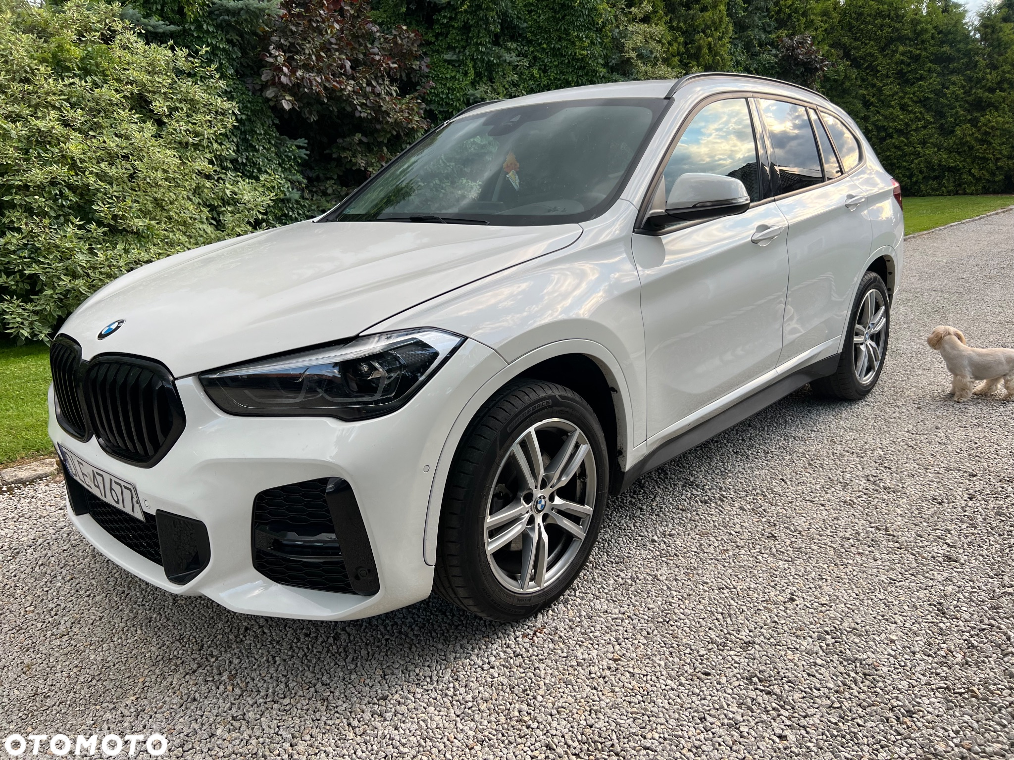 BMW X1 sDrive18d M Sport - 3