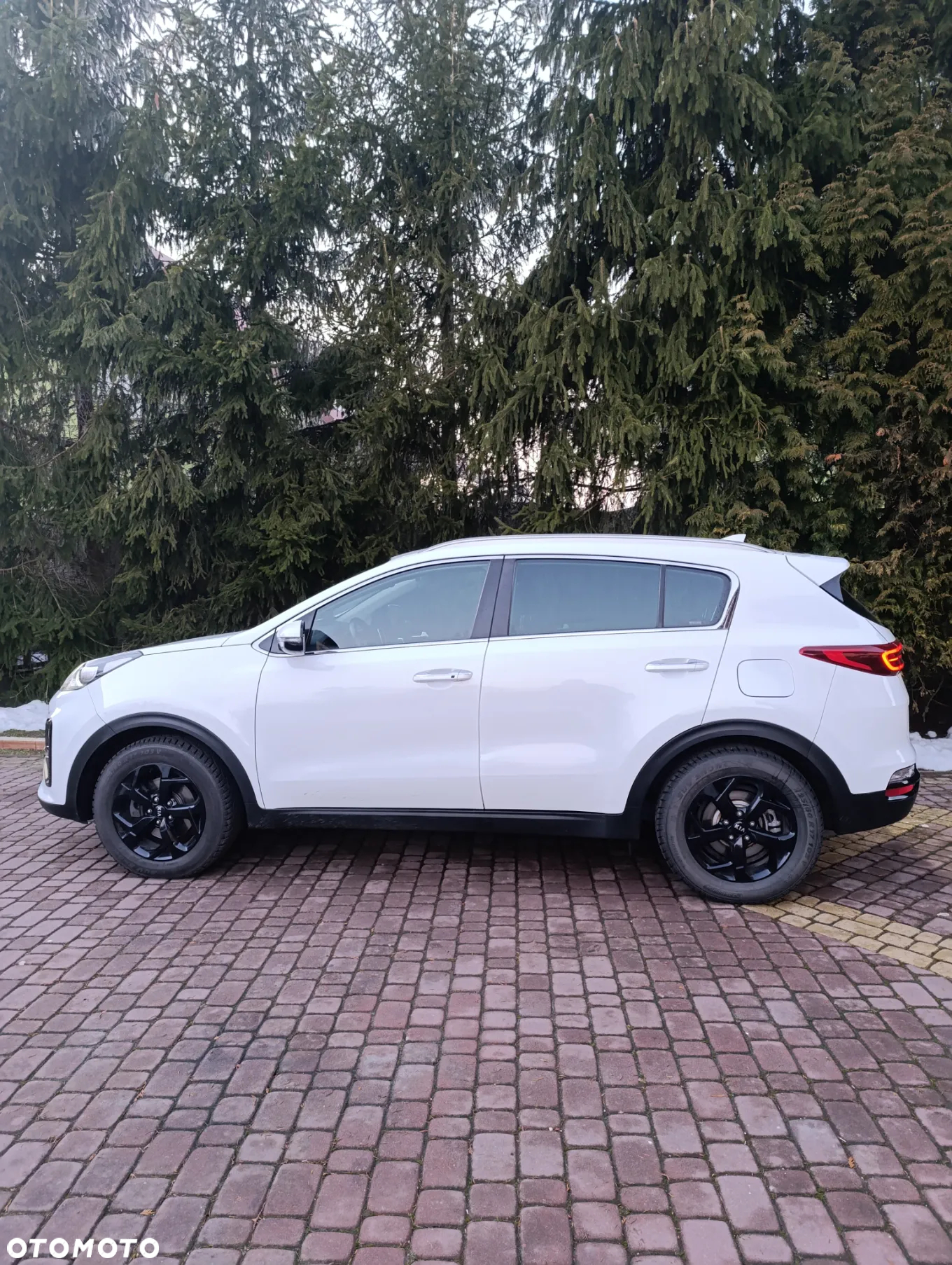 Kia Sportage 1.6 CRDI 2WD Eco-Dynamics+ (48V M-H) DCT Vision - 4