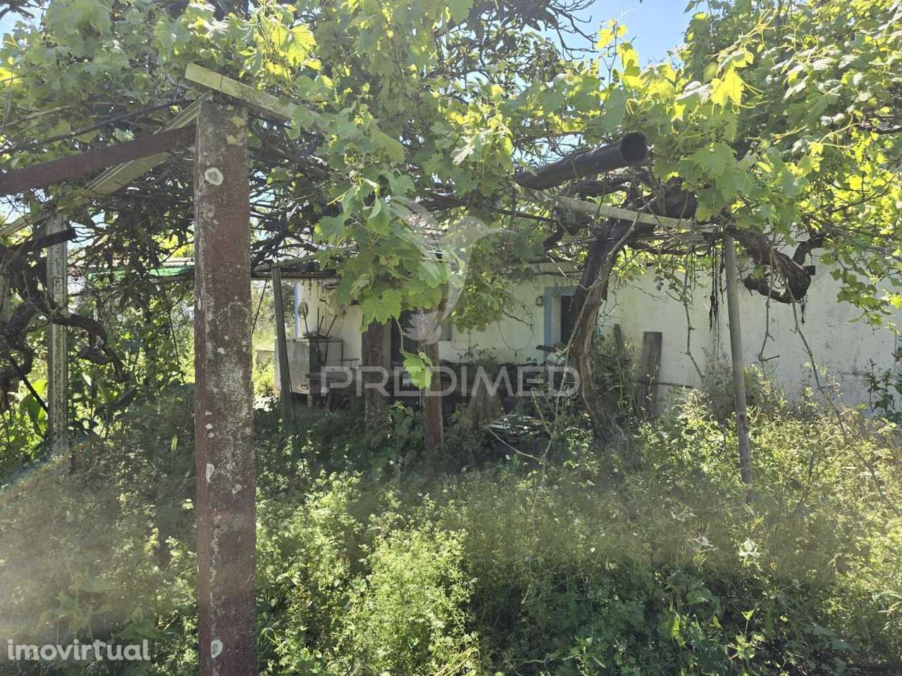 Casa Típica para Recuperar - Grândola - Grande imagem: 2/39