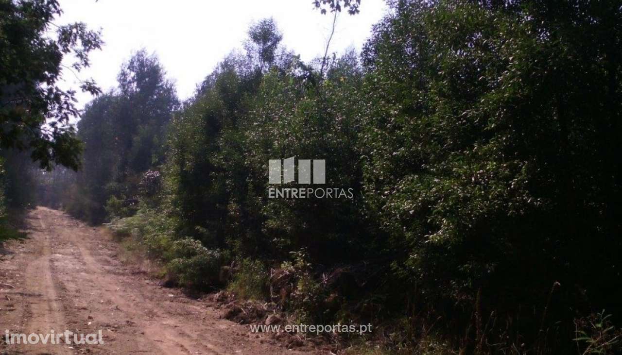 Venda de terreno, Canidelo, Vila do Conde - Grande imagem: 5/5
