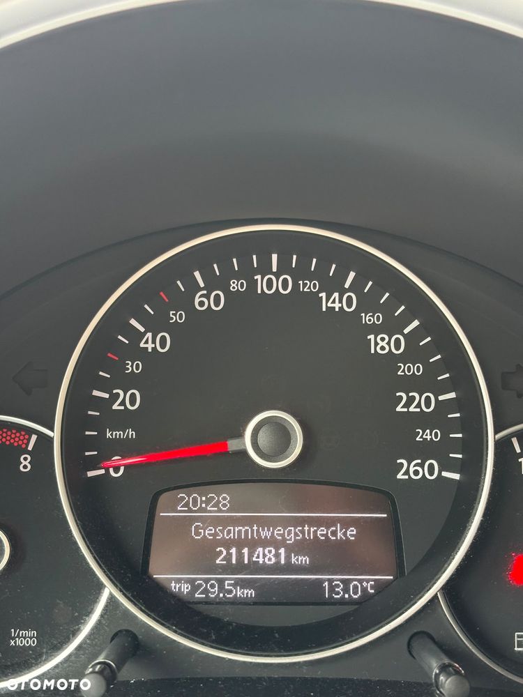 Volkswagen Beetle - 12