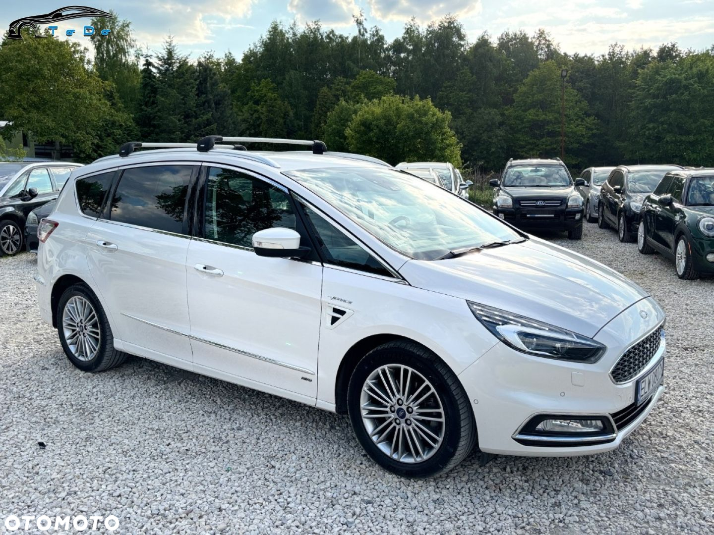 Ford S-Max 2.0 EcoBlue AWD Vignale - 10