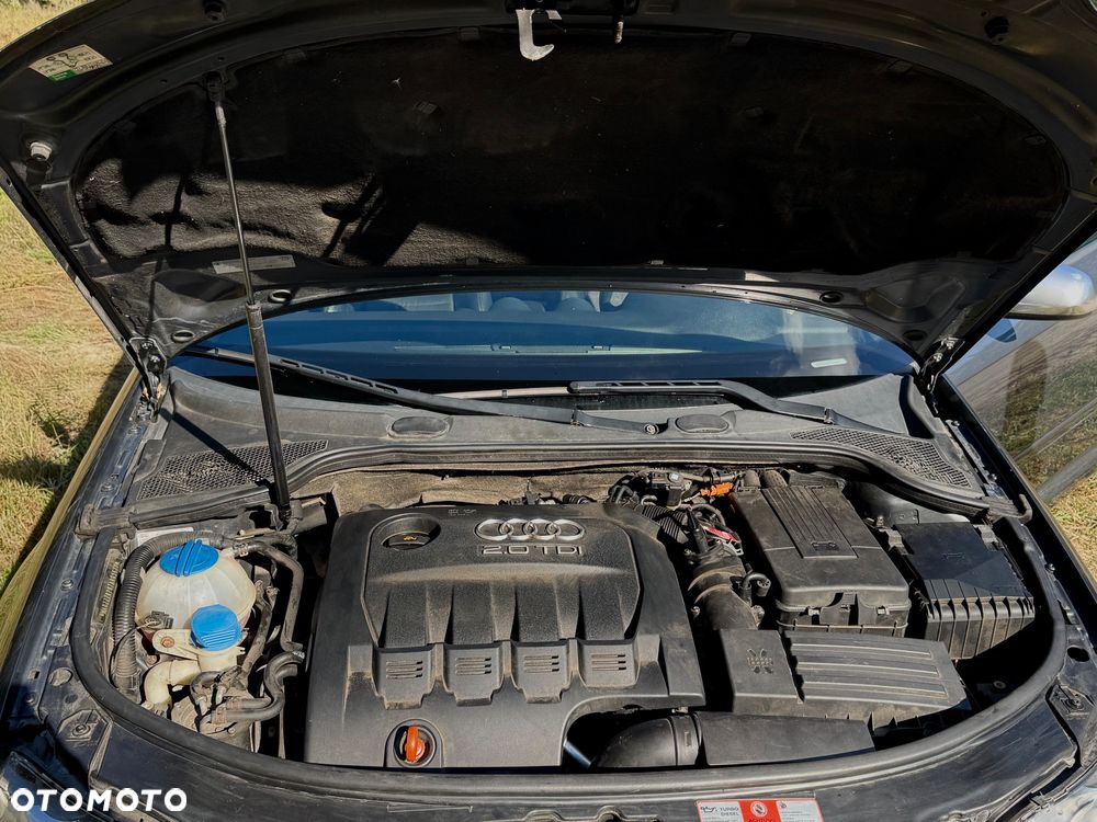 Audi A3 3-drzwiowe 2.0 TDI DPF Ambiente S tronic - 10