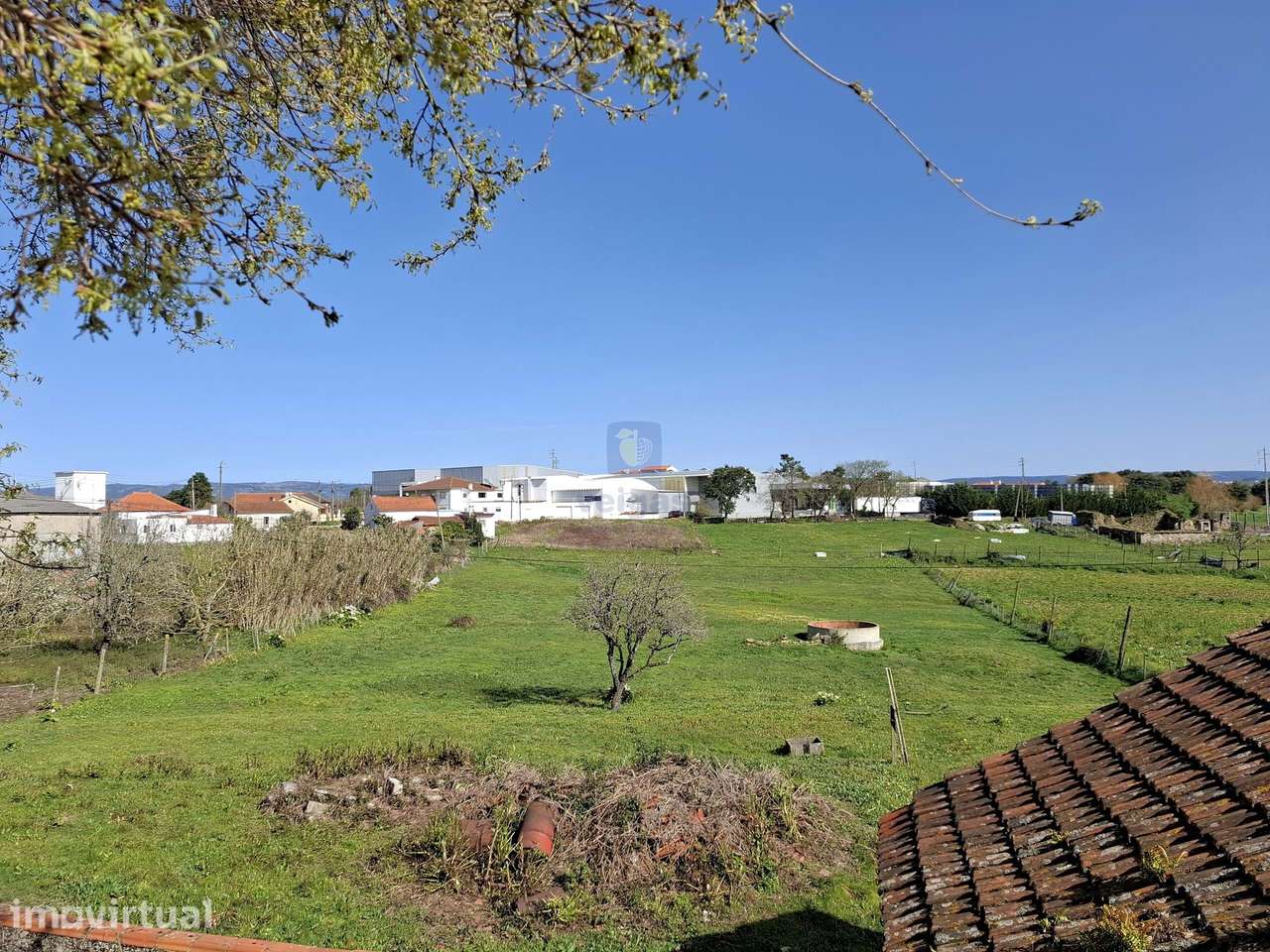 Terreno urbano com 15.867 m2 em Cela, Alcobaça,  e ruína de 336,30 m2 - Grande imagem: 4/27