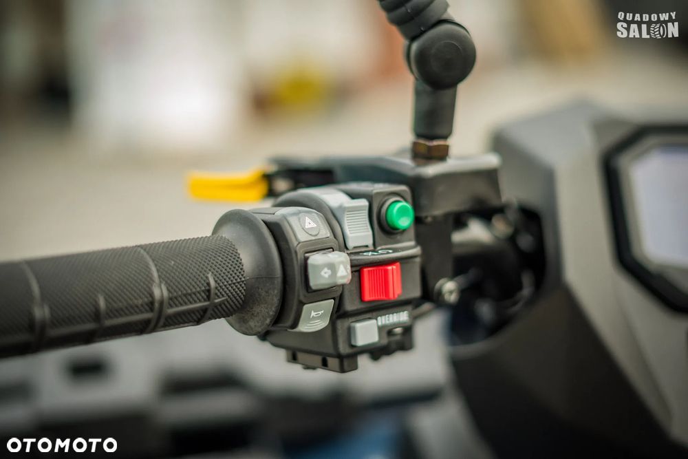 Kawasaki Brute Force - 14