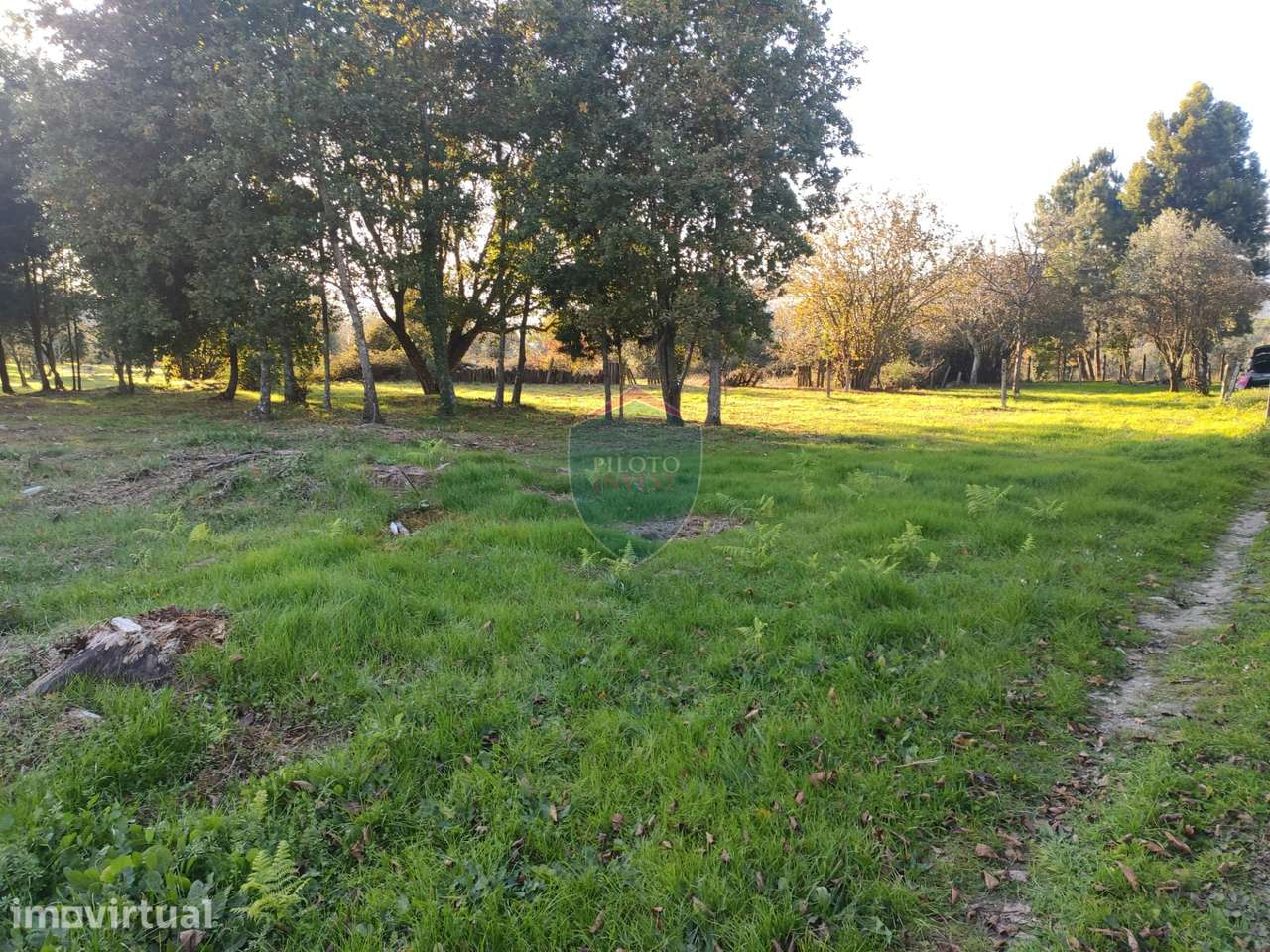 Terreno Para Construção  Venda em Silgueiros,Viseu - Grande imagem: 4/26