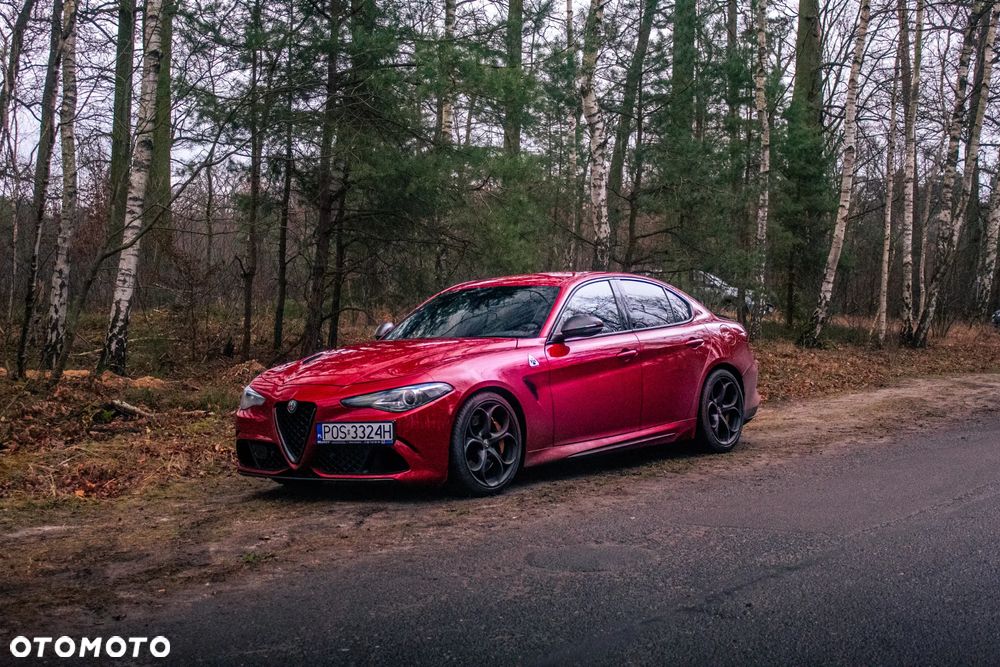 Alfa Romeo Giulia 2.9 V6 Bi-Turbo AT8 Quadrifoglio - 5