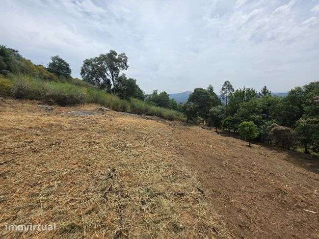 Fantástico terreno para venda em Coucieiro , Vila verde. - Grande imagem: 5/7