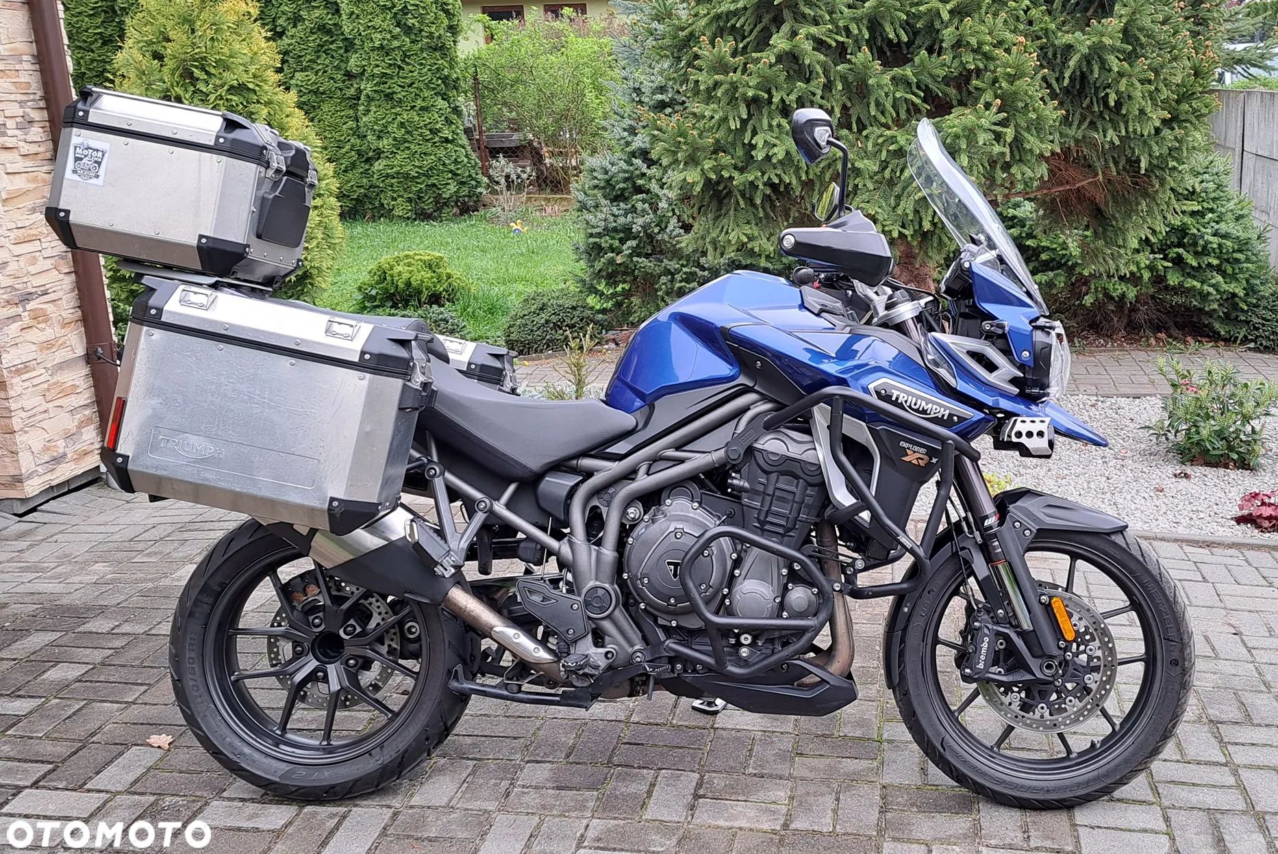 Triumph Tiger - 1