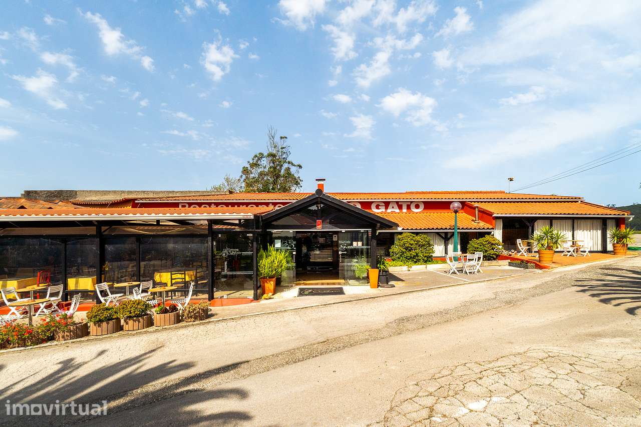Restaurante "O Gato" , na Malveira - Onde a Tradição ganha sabor - Grande imagem: 2/30