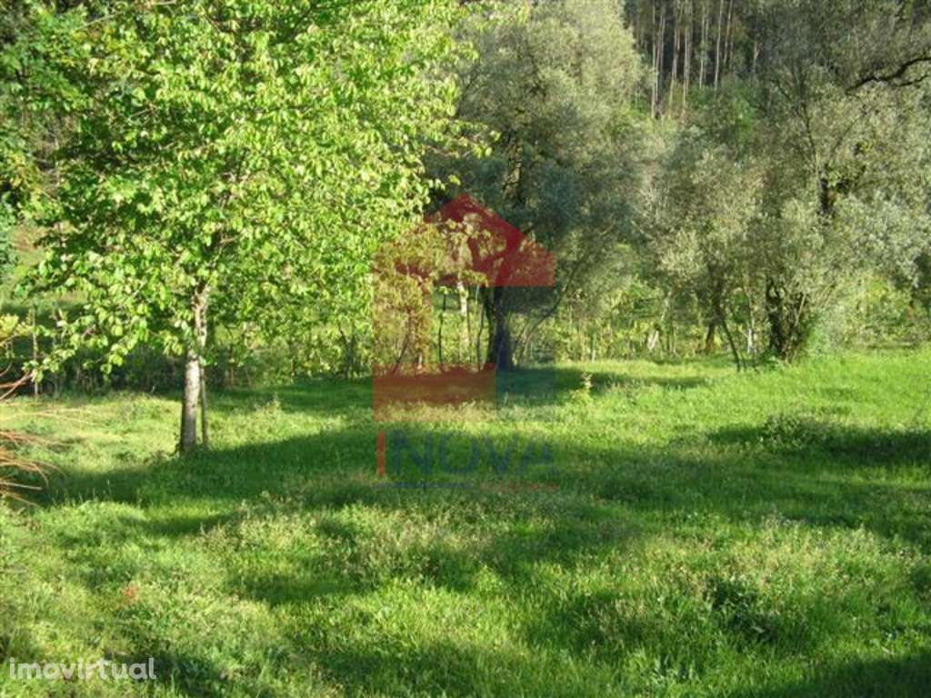 Terreno agrícola, Barros - Grande imagem: 2/8