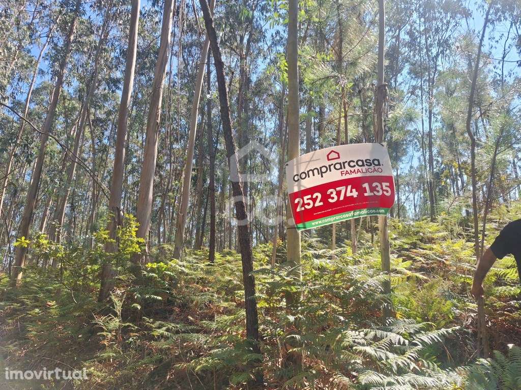 Terreno Eucaliptal em Vale S. Cosme!! - Grande imagem: 2/21