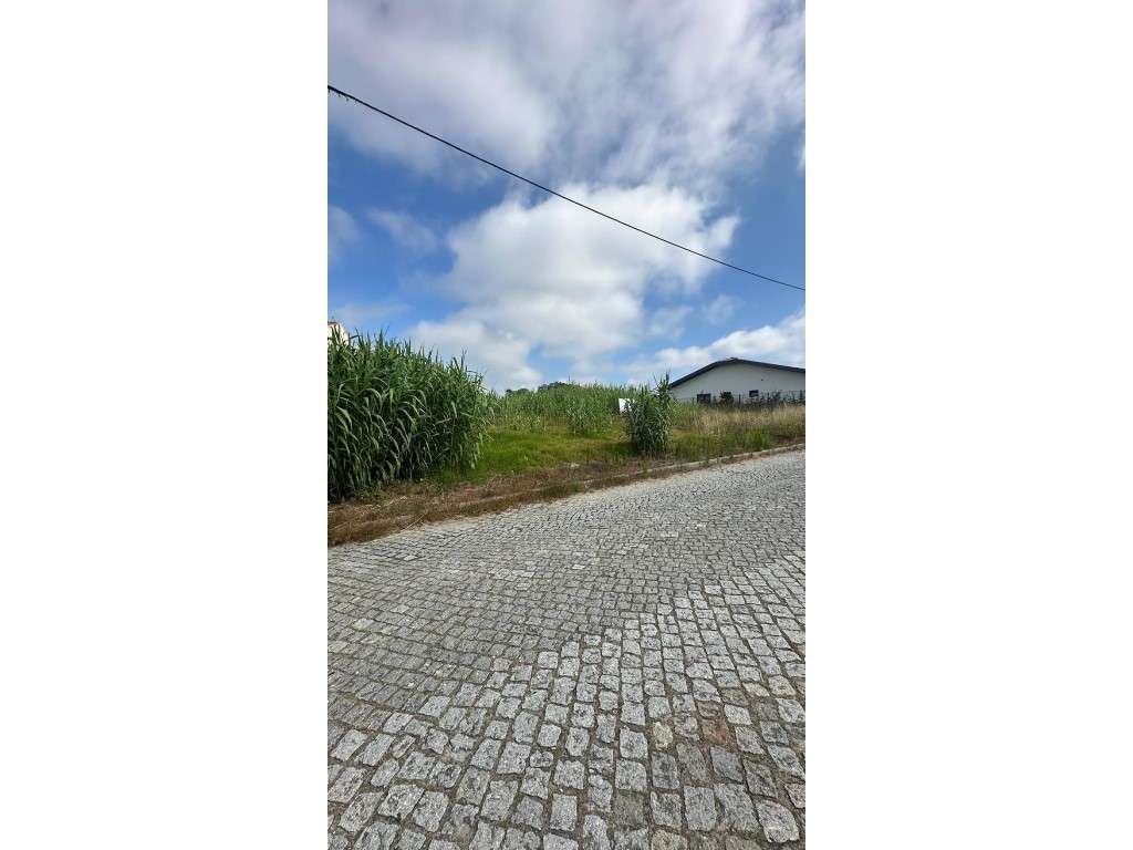 Terreno com pip 2 moradias térreas | Miramar - Grande imagem: 3/6