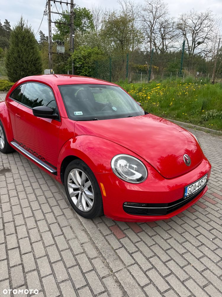 Volkswagen Beetle - 6