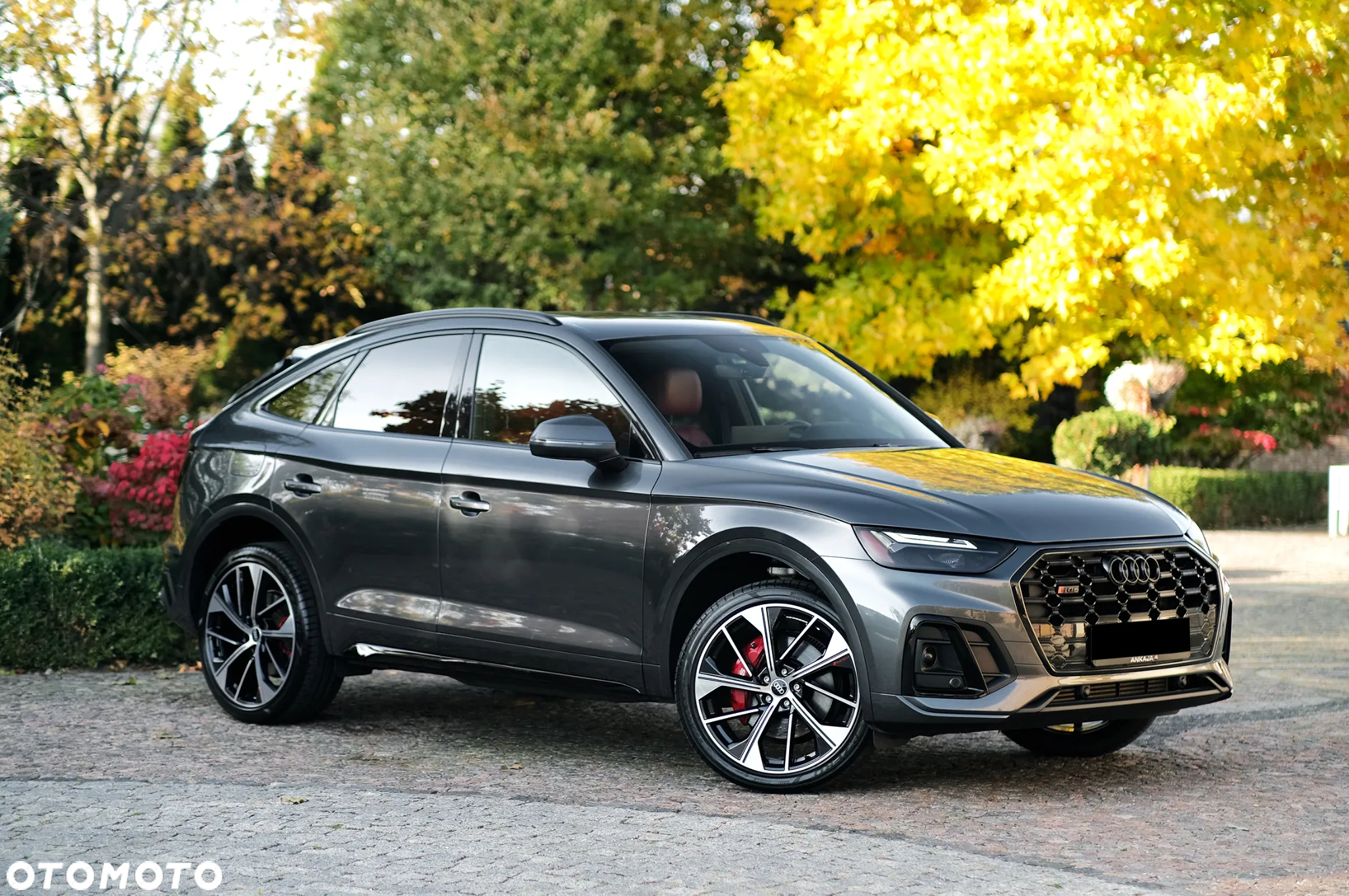 Audi SQ5 3.0 TFSI quattro tiptronic - 8