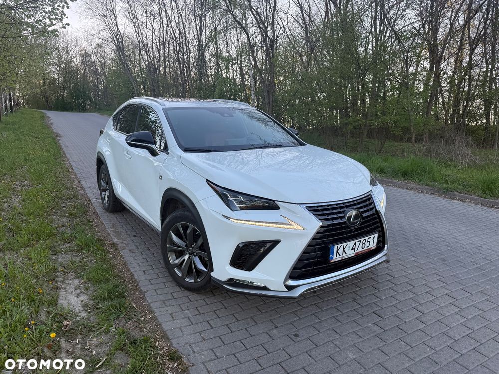 Lexus NX 300 AWD F SPORT - 16