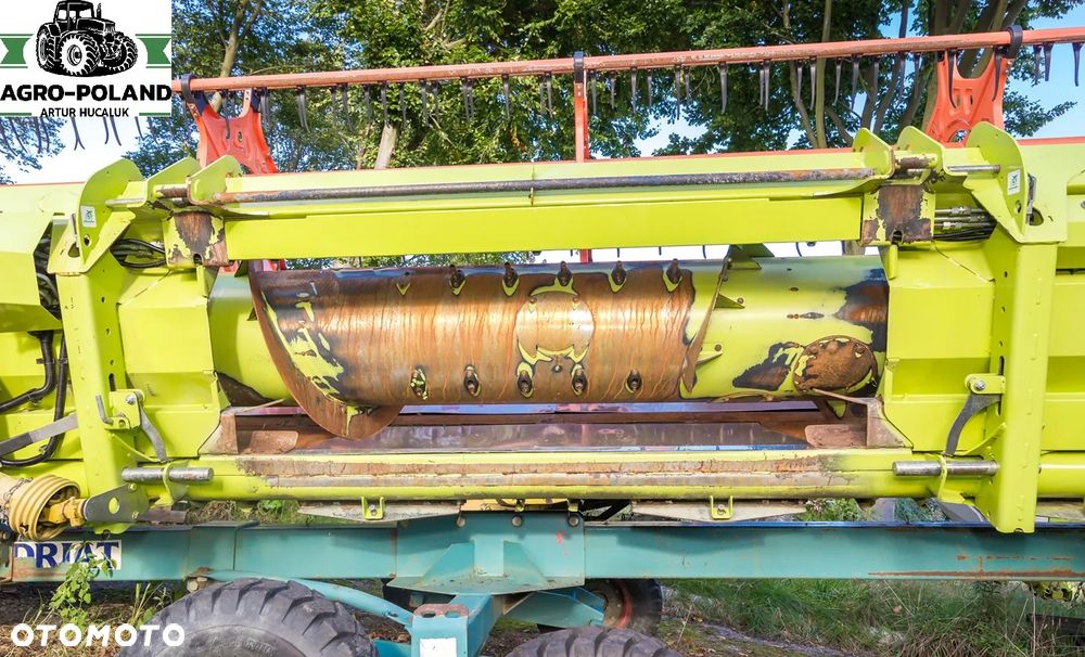 Claas MAXFLEX 620 - 2017 ROK - DO ZBIORU ZBÓŻ SOI GROCHU SOCZEWICY - 4